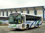 Marcopolo Torino 1999 года